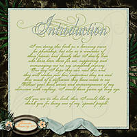 introduction_page_copy.jpg