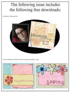 PreviewVol1Issue2Downloads_web