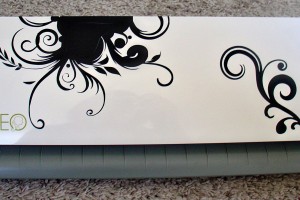CameoWithSwirls